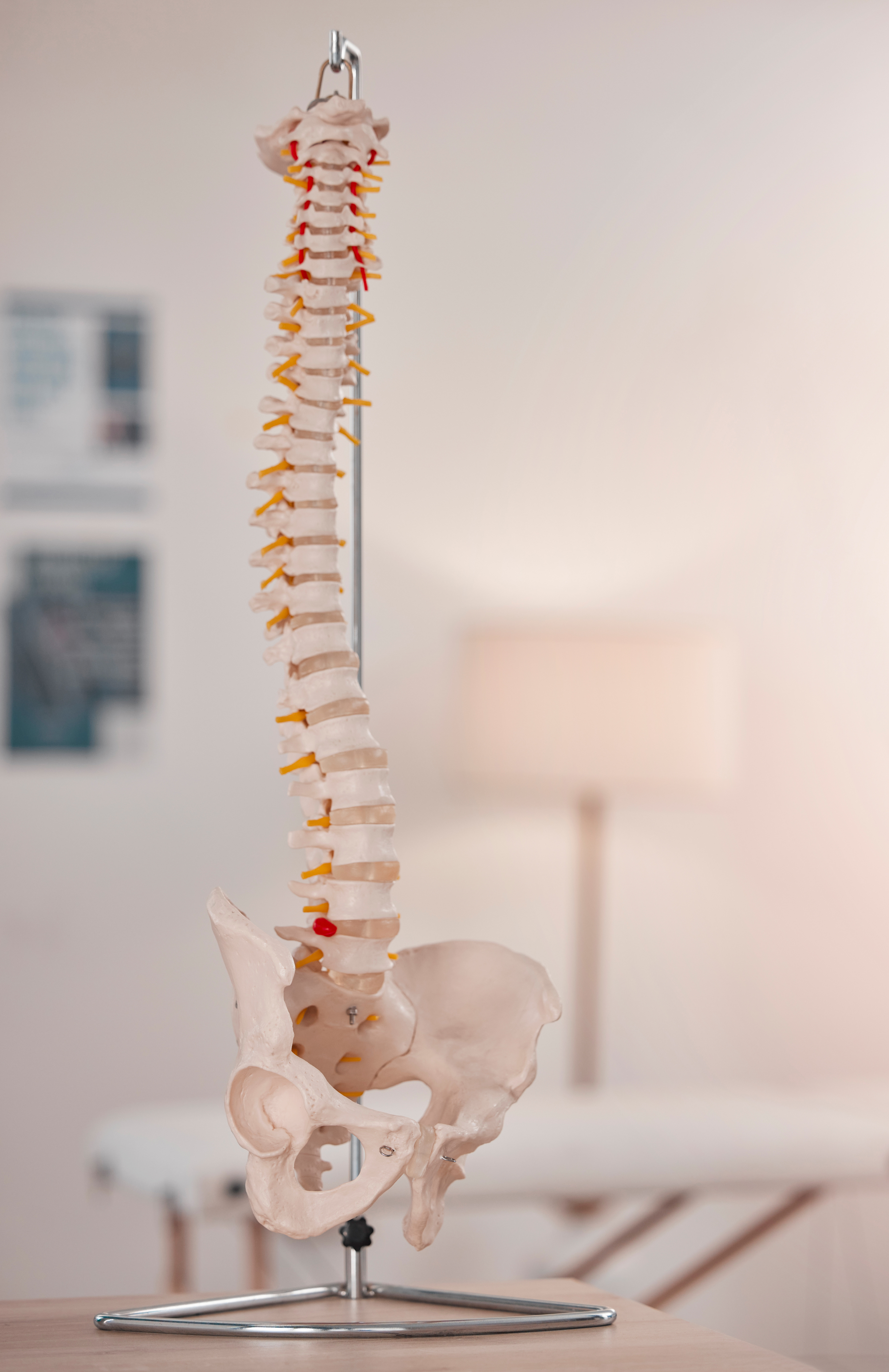 MRI Scan CNS Clinic